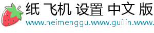 纸 飞机 设置 中文 版